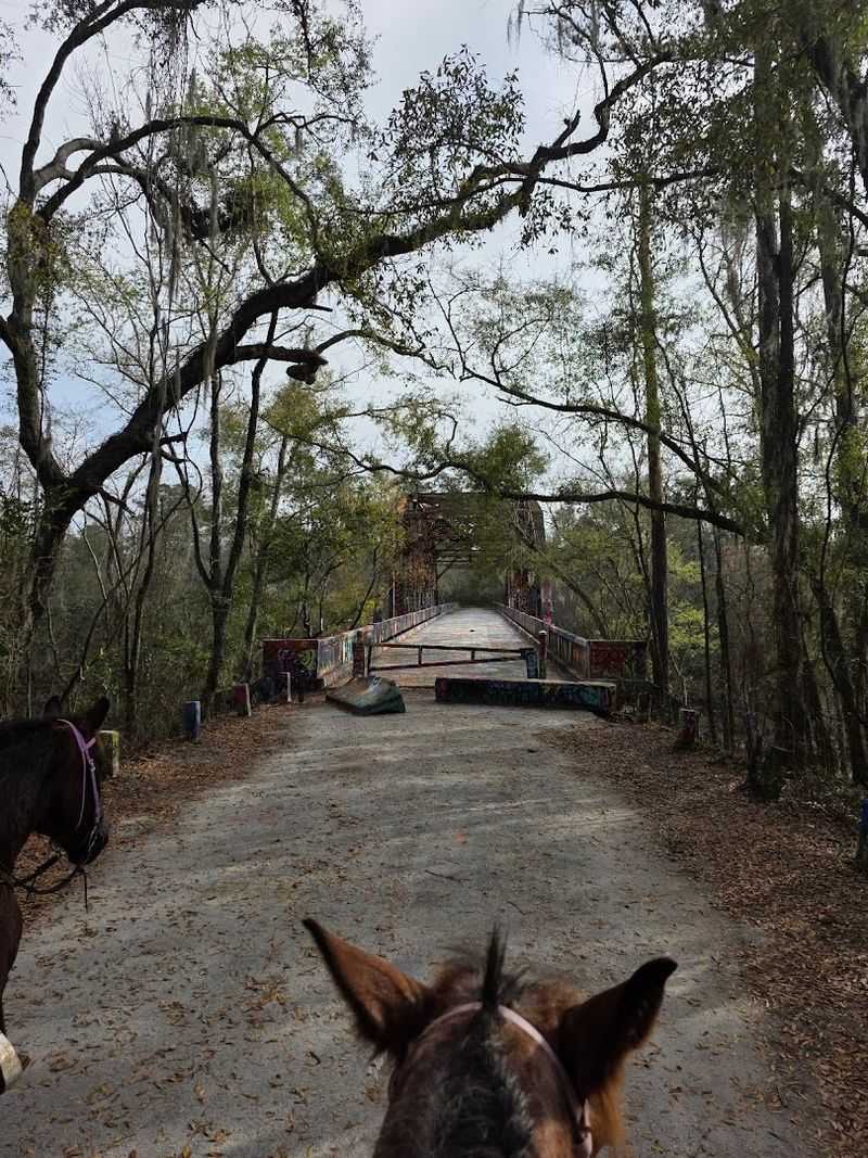 Miles Of Trails For Hiking, Biking, And Horseback Riding