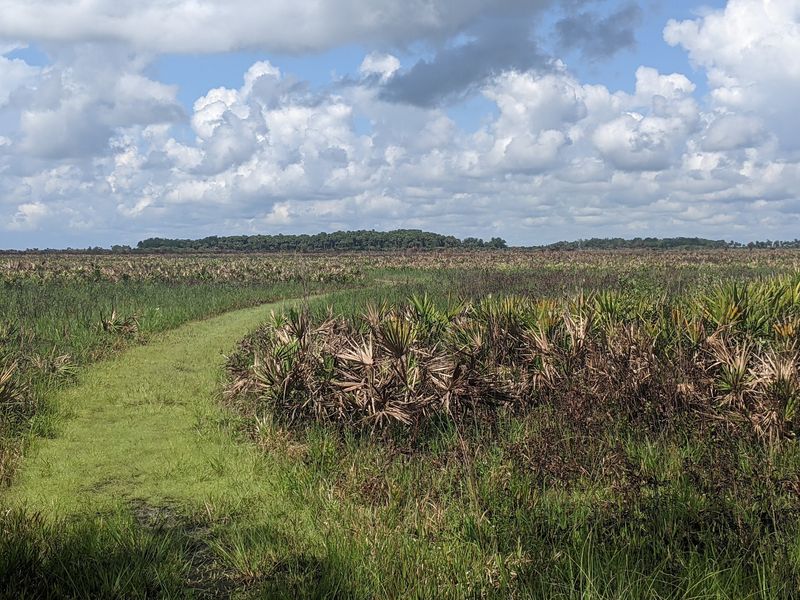 Kissimmee Prairie Preserve State Park Campground (Okeechobee)