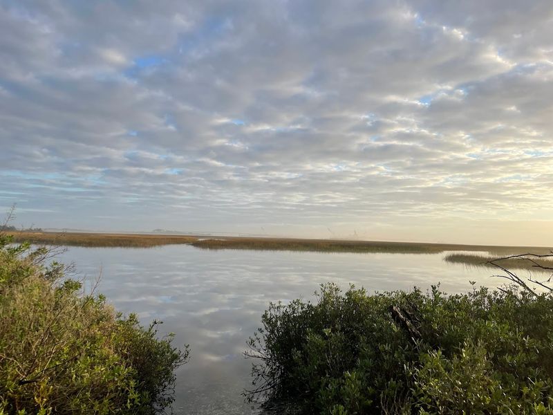 Wildlife Encounters and Natural Surprises
