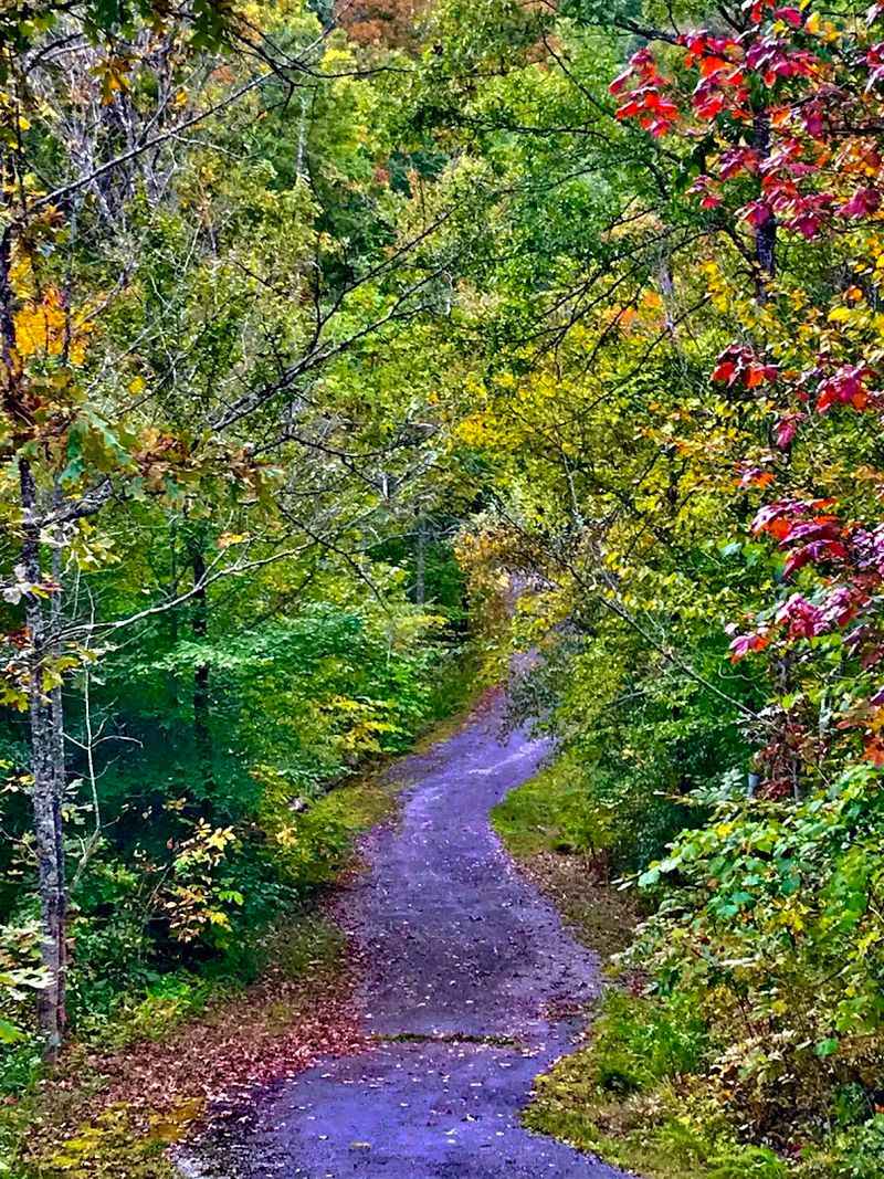 What to See and Do While You're There