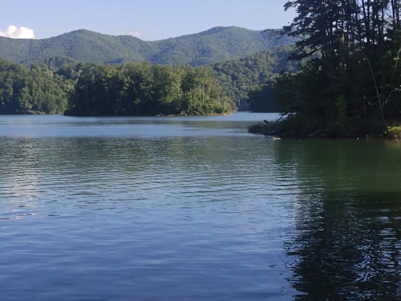 Shook Branch Recreation Area Beach Day