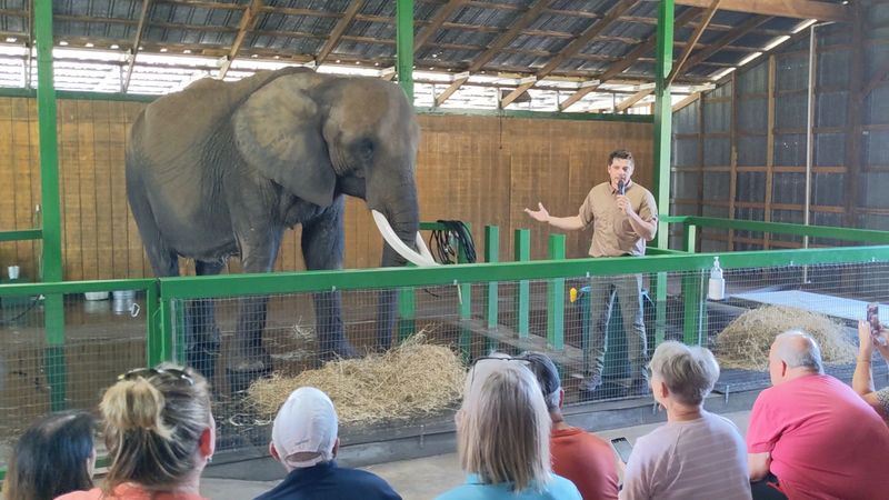 The Story Behind Myakka Elephant Ranch