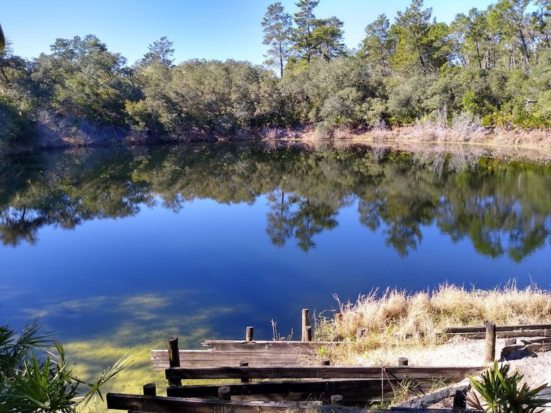 Florida Black Bear Scenic Byway (Ocala National Forest)