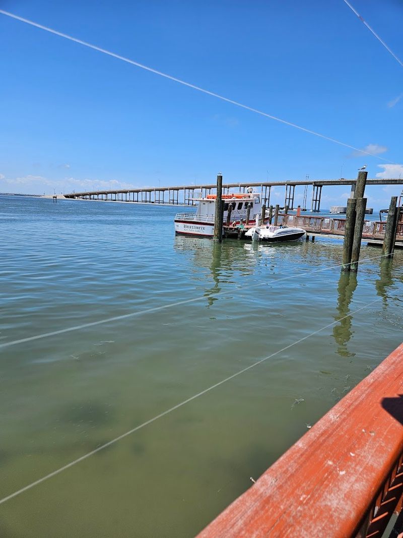 Seagulls, Breeze, And Bird Etiquette