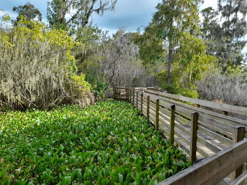 Lettuce Lake Park