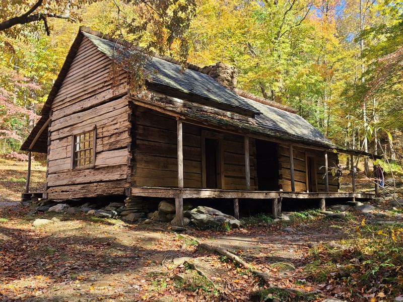Exploring the Historic Homesteads