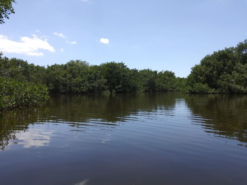 Cockroach Bay Aquatic Preserve (Ruskin)
