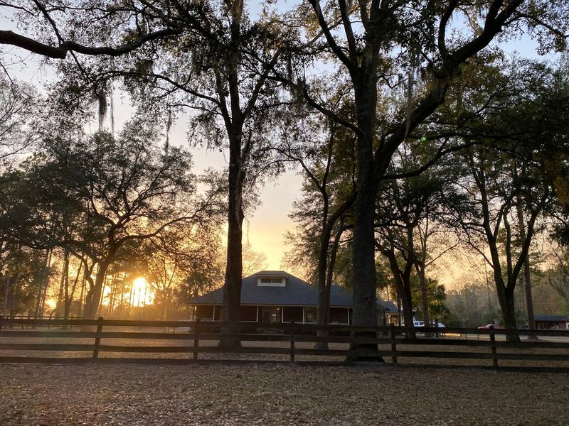 Diamond D Ranch (Jacksonville)