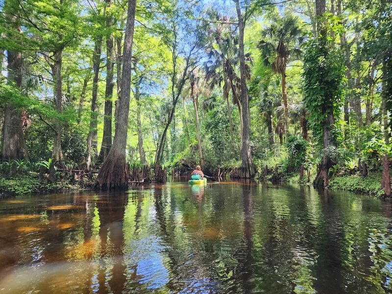 Paddling the Loxahatchee River Feels Like Entering Another World