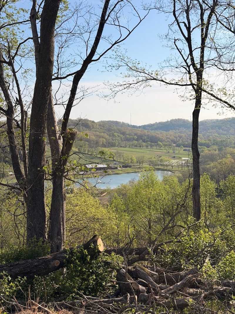 Why Southall Farm & Inn Stands Out in Franklin