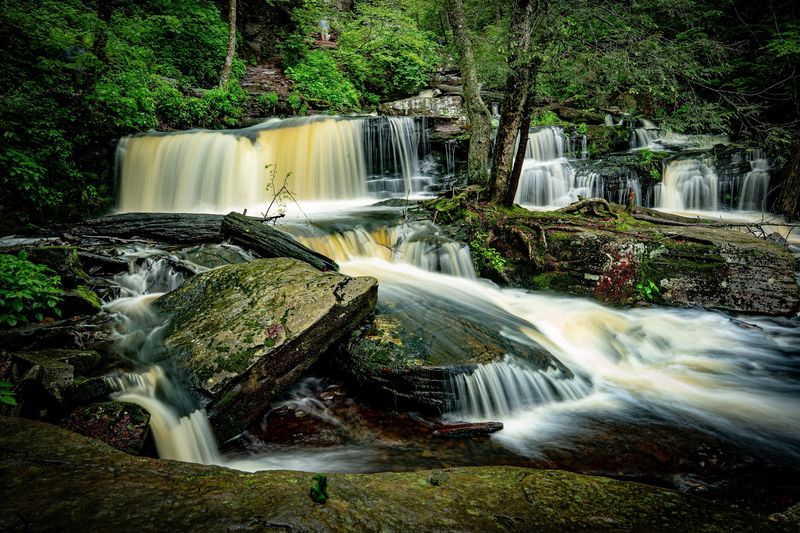 Waters Meet: Heart of the Loop