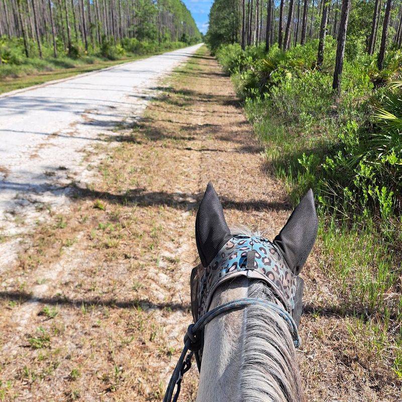 Designated Equestrian Trails for Horseback Riding