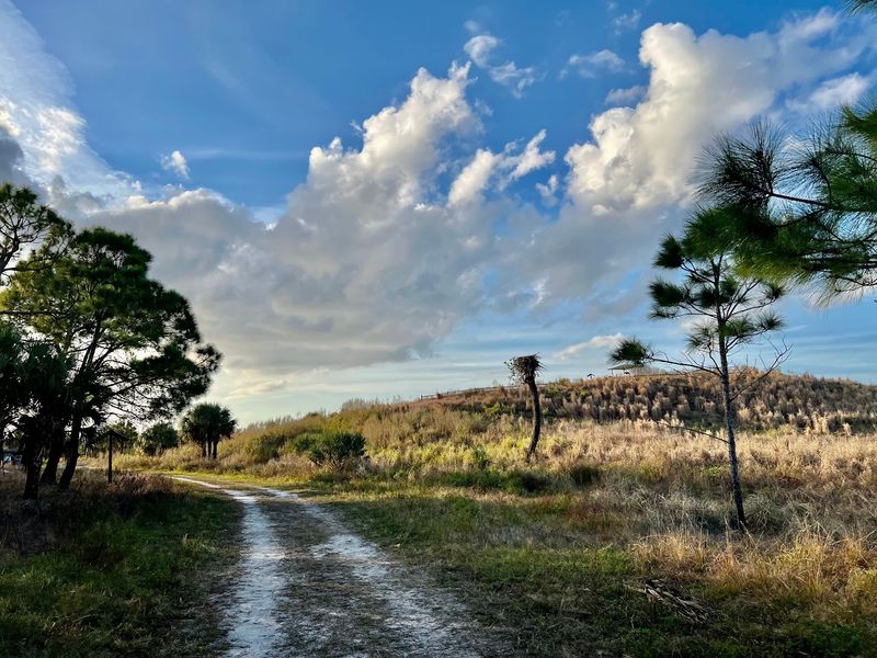 Walking Trails With Surprisingly Big Views
