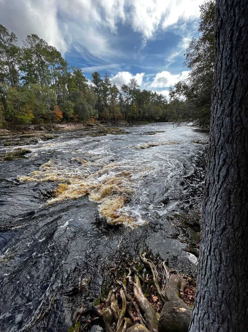 Big Shoals Trail at Big Shoals State Park (White Springs)
