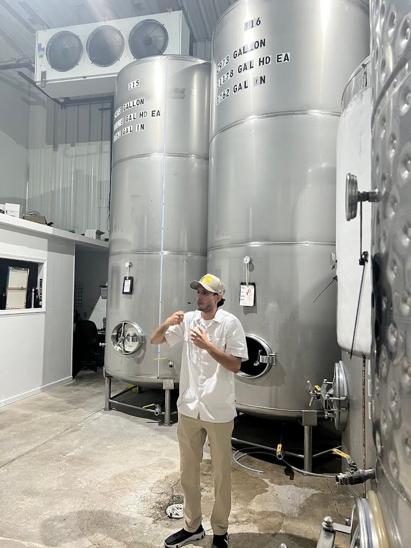 Behind-the-Scenes Winery Tours Worth Your Time
