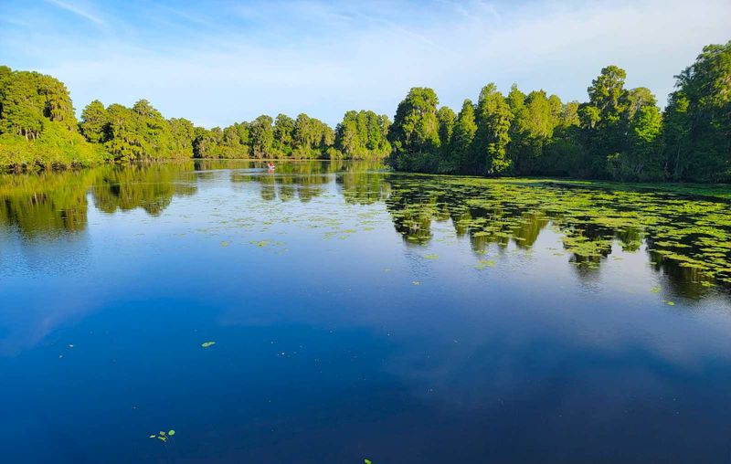 Lettuce Lake Park Paved Exercise Trail (Tampa)