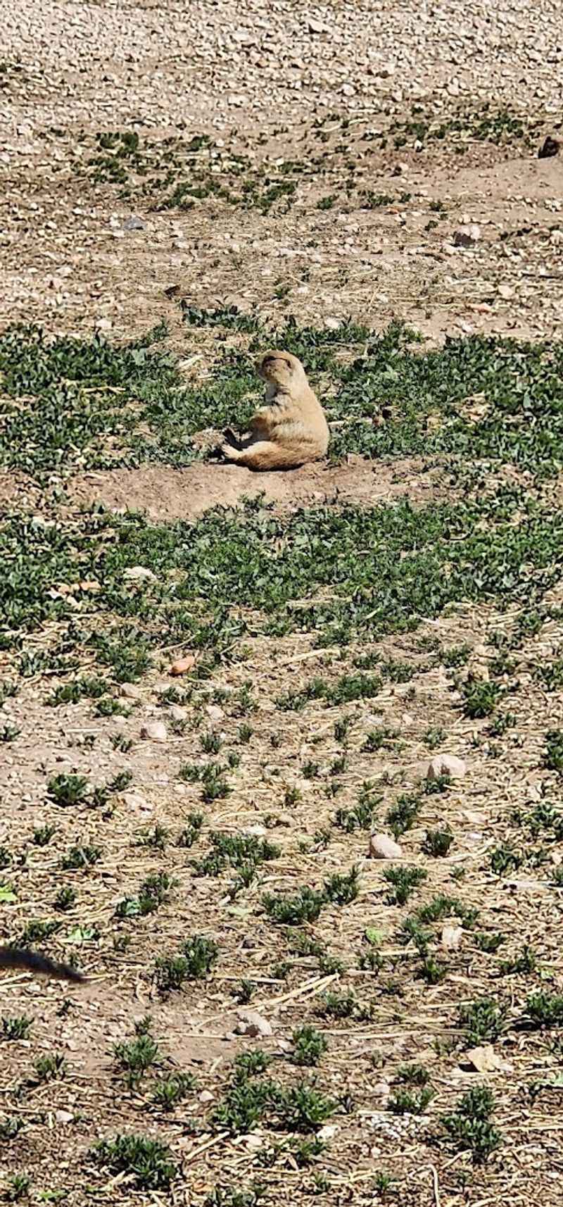 Visit During Baby Season for Maximum Cuteness