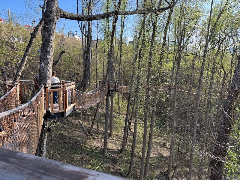 Exploring Anakeesta Before or After Your Meal