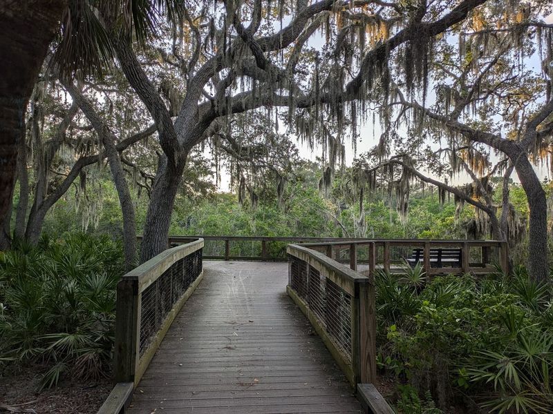 The Peaceful Trail Network