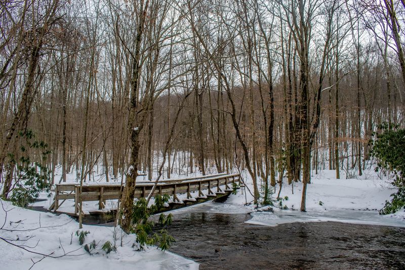 Smart Planning, Seasons, and Safety