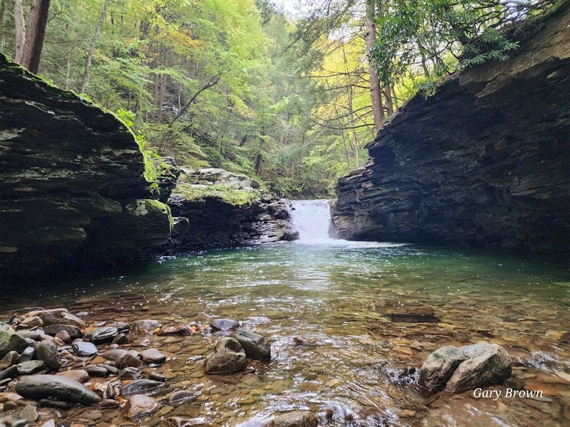 Trout, Pocketwater, And Quiet Mornings