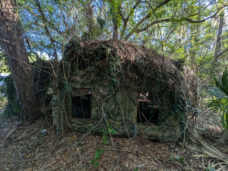 Nature's Slow Reclamation Project