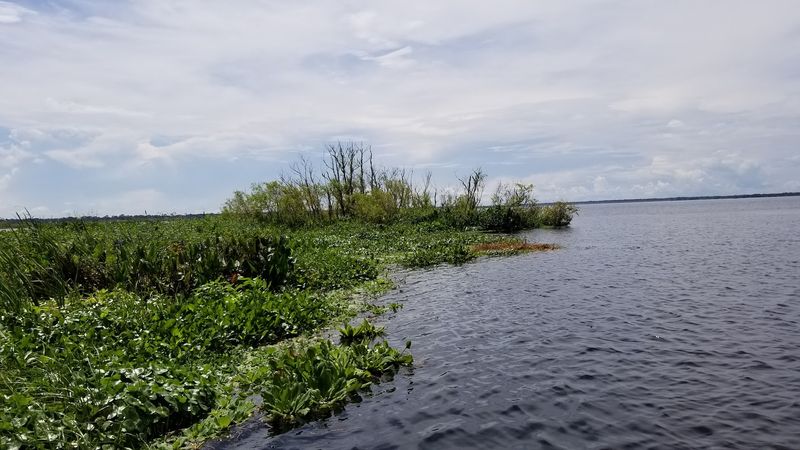 Orange Lake (Alachua County)