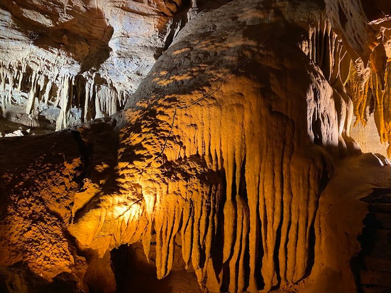 Tour Forbidden Caverns near Sevierville