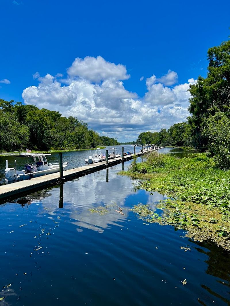 Waterfront Dining With Wild Neighbors