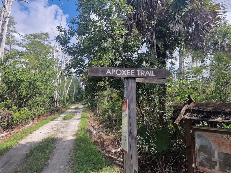 Apoxee Trail / Apoxee Park at Grassy Waters Preserve — West Palm Beach Outskirts