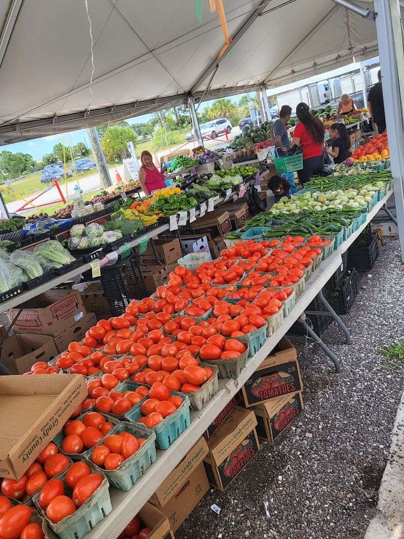 Fresh Produce That Beats Grocery Prices