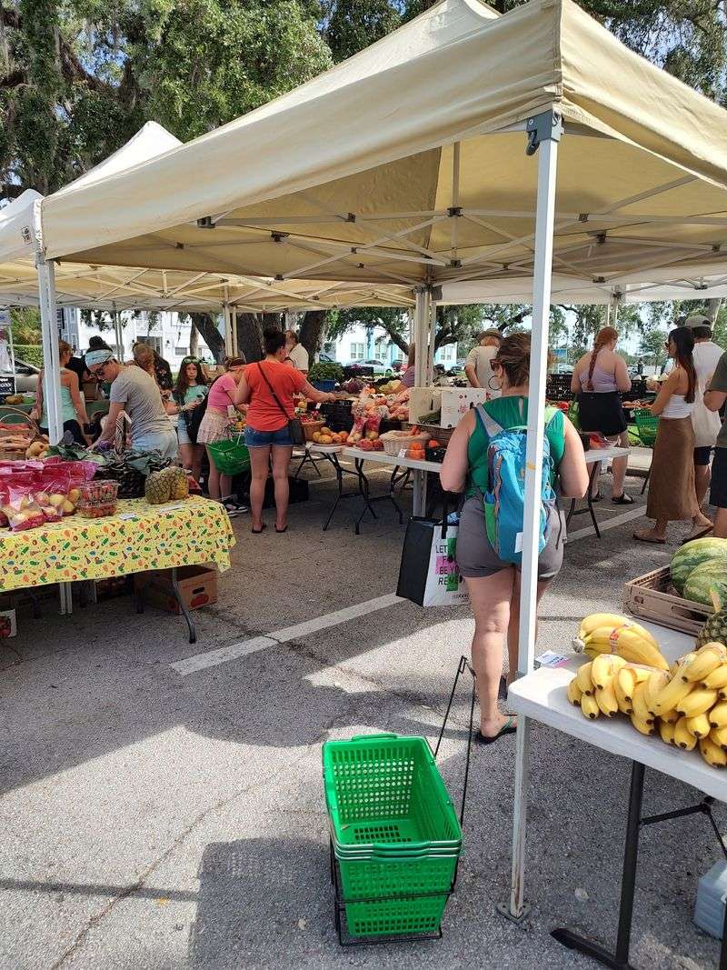 New Smyrna Beach Farmers Market (New Smyrna Beach)