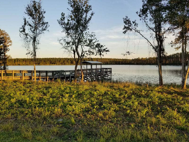 Lake Louisa State Park (Clermont)