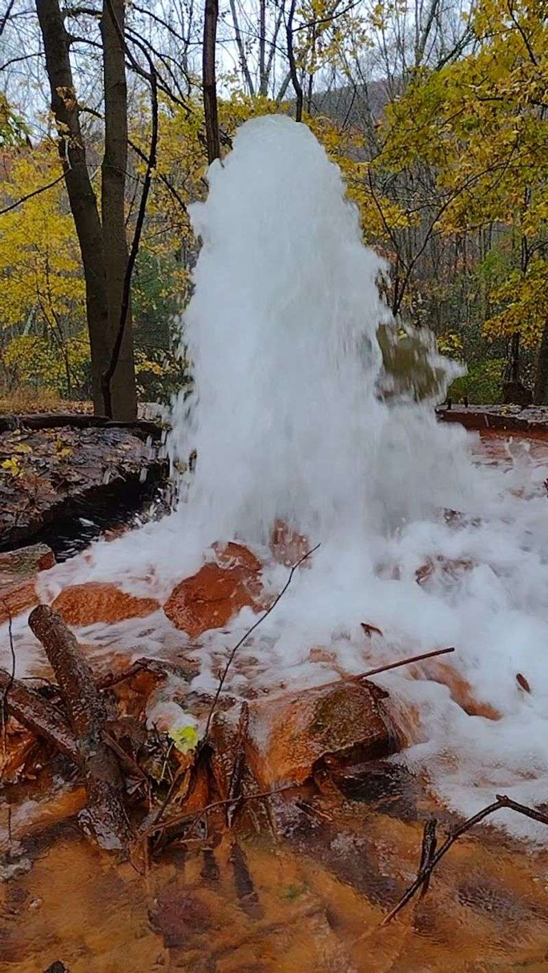 When To Go For The Best Show