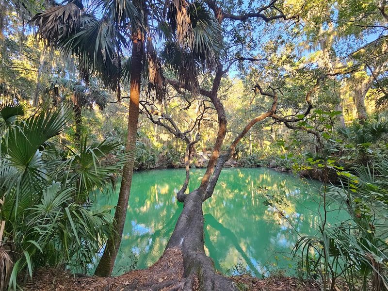 Green Springs Park (Enterprise)