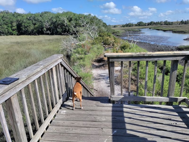 Dog-Friendly Hiking: Bringing Your Pup Along the Trail