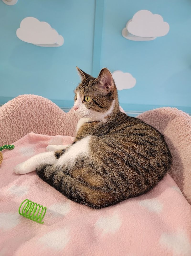 Why It Feels Therapeutic