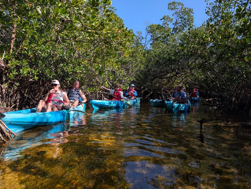 Florida Keys Kayak & Paddleboard