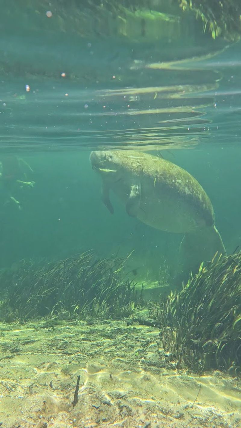 Wildlife Encounters That Feel Like a Nature Documentary