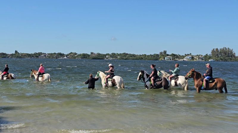 Creating Lifetime Family Memories Across Generations