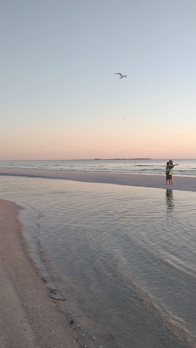 The Magical Tidal Pool Experience
