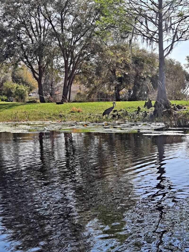 Wildlife Viewing Along the Lakes
