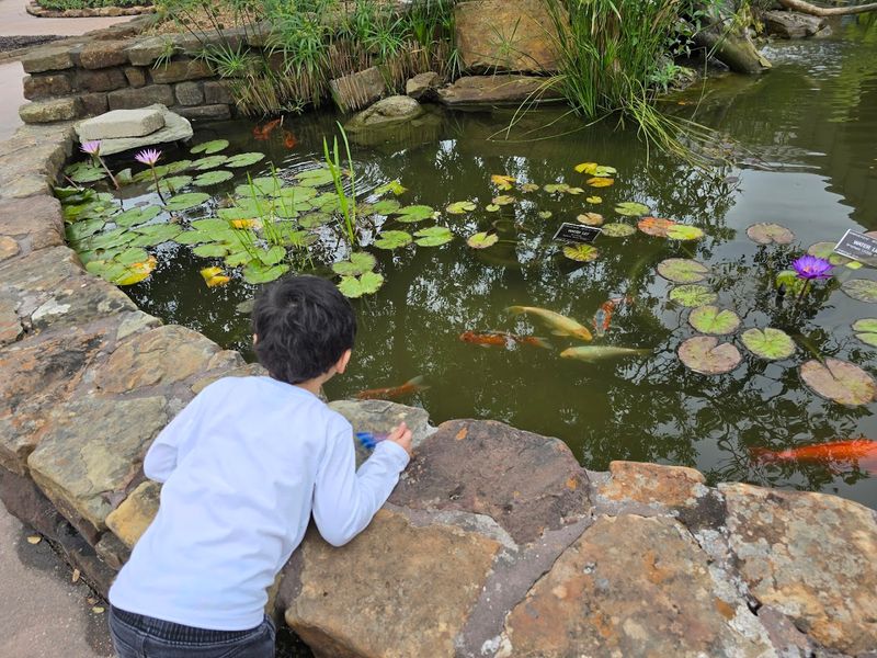 Family-Friendly Features Keep Kids Engaged