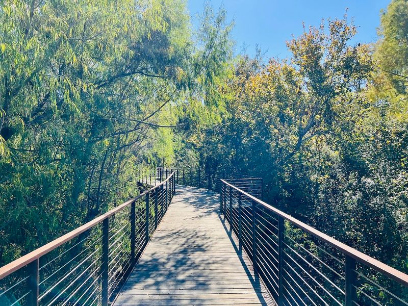 Elevated Boardwalks That Put You Eye-Level With Nesting Birds