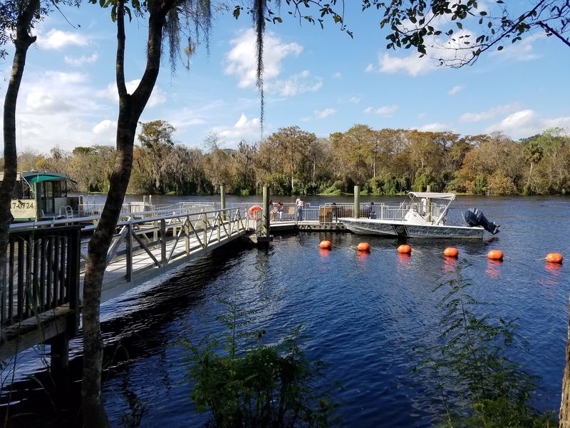 Boat Tours Offer Guided Wildlife Spotting