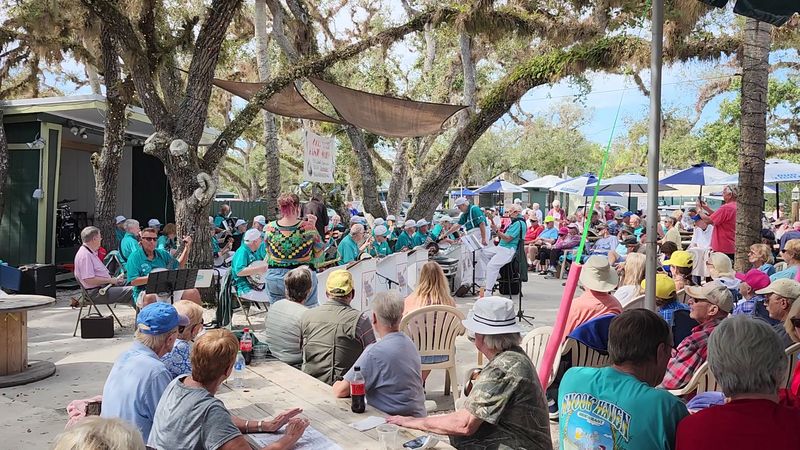 Live Music That Sets the Perfect Mood