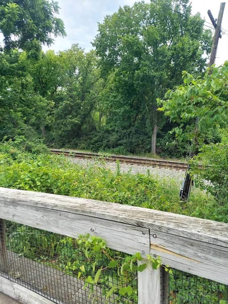 Why Dutchman's Curve Became So Dangerous