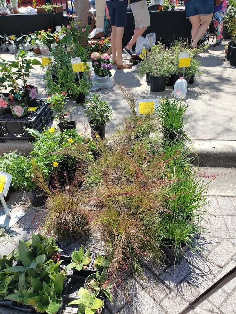 Expert Talks And Workshops