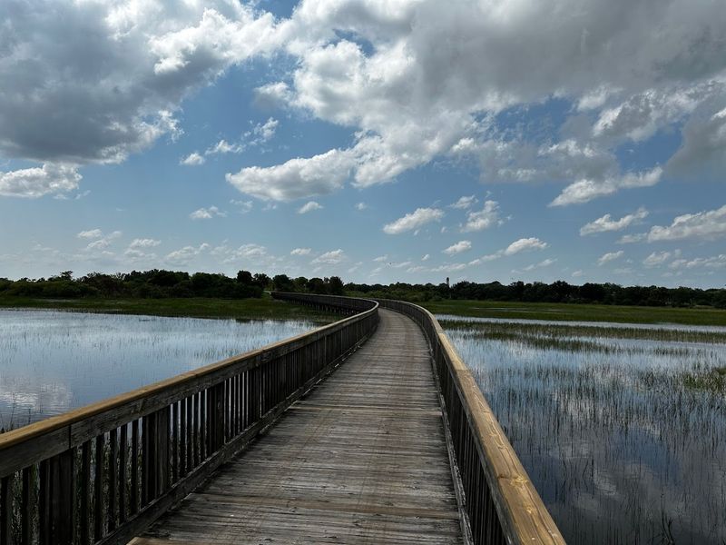 Boardwalks That Float You Into Another World