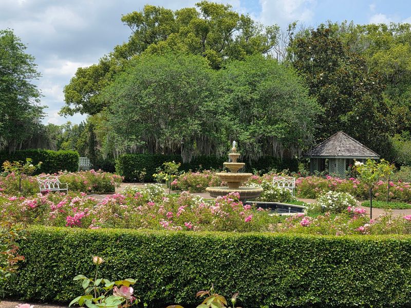 Harry P Leu Gardens (Orlando)